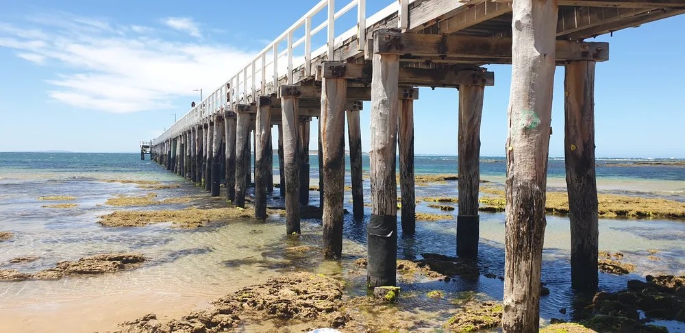Timber pier leading towards the horizon